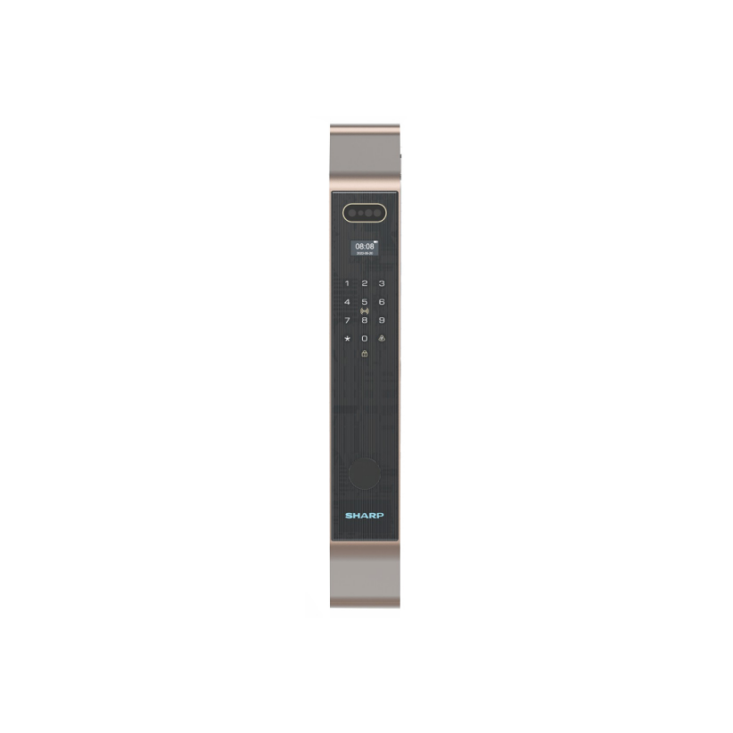 S9-FV Brown