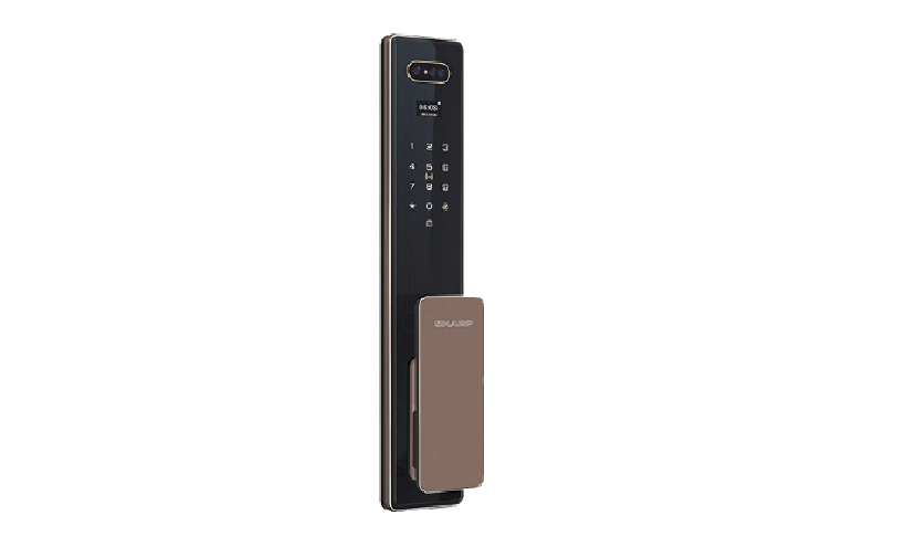 S6-FV Brown