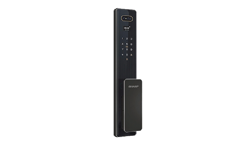 S6-FV Black